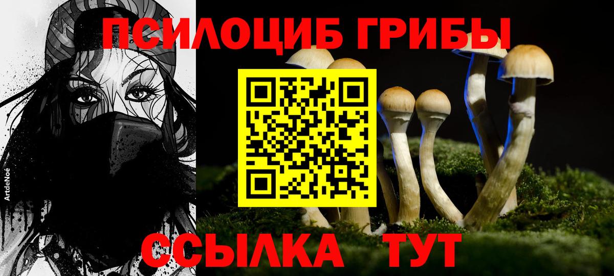 Галлюциногенные грибы ЛСД Кинель