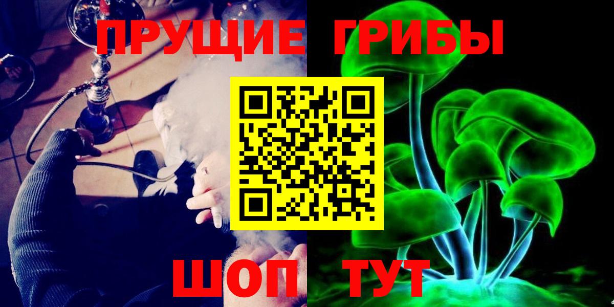 Кинель  где можно купить   Вход с VPN  Псилоцибиновые грибы GOLDEN TEACHER 
